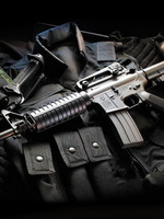 Guns